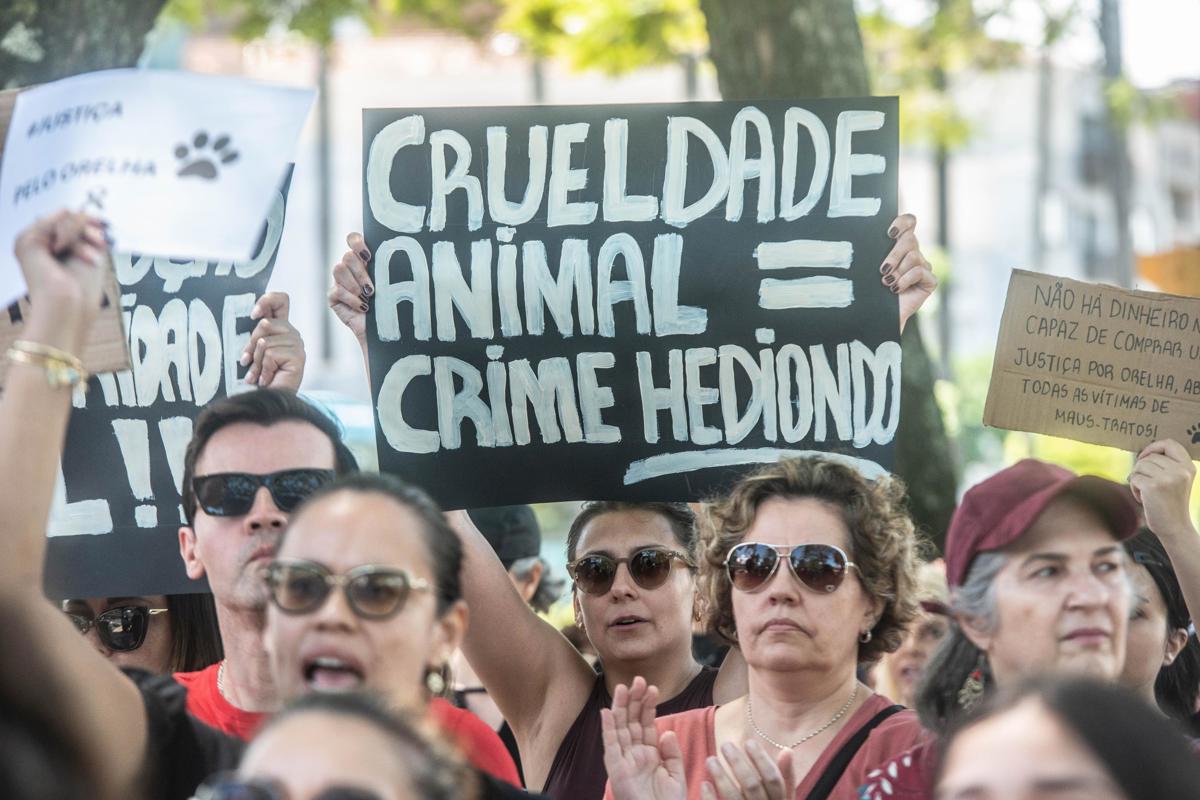 Morte do cão Orelha provoca protestos por justiça em todo o país