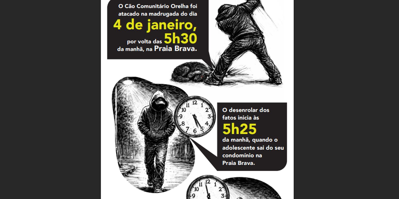 Cão Orelha: Polícia usa imagens e dados de celular para desvendar caso