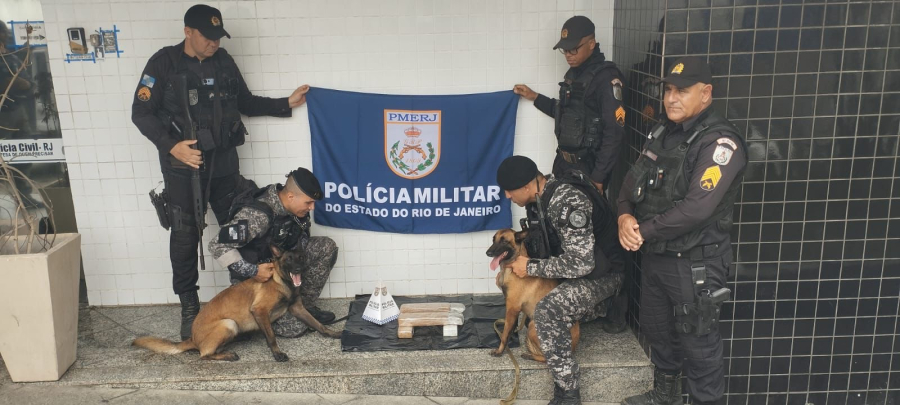 Operação conjunta da PM apreende cerca de 6 kg de maconha em ação contra o tráfico
