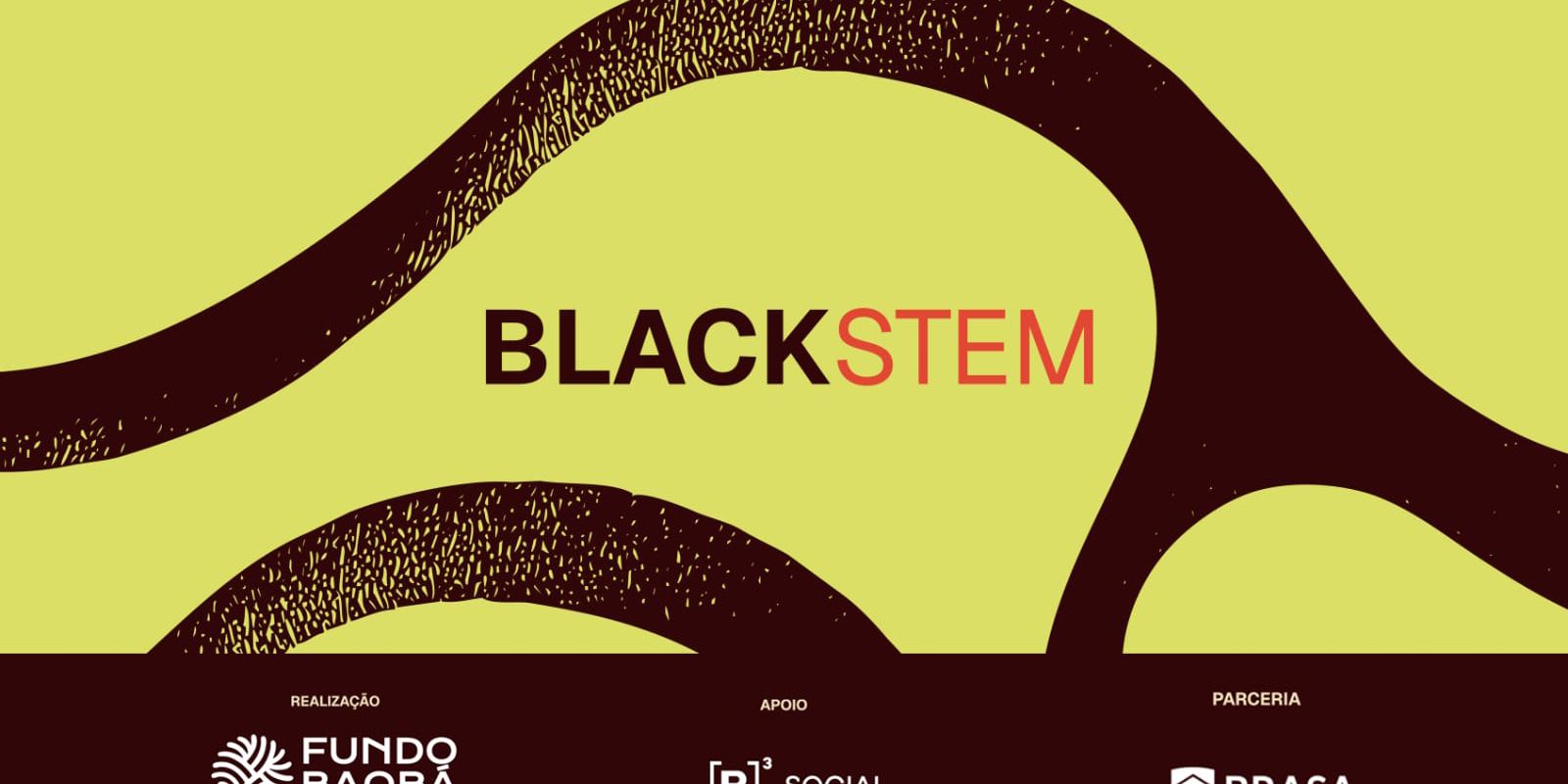 ONG oferece bolsas para alunos negros que estudam no exterior