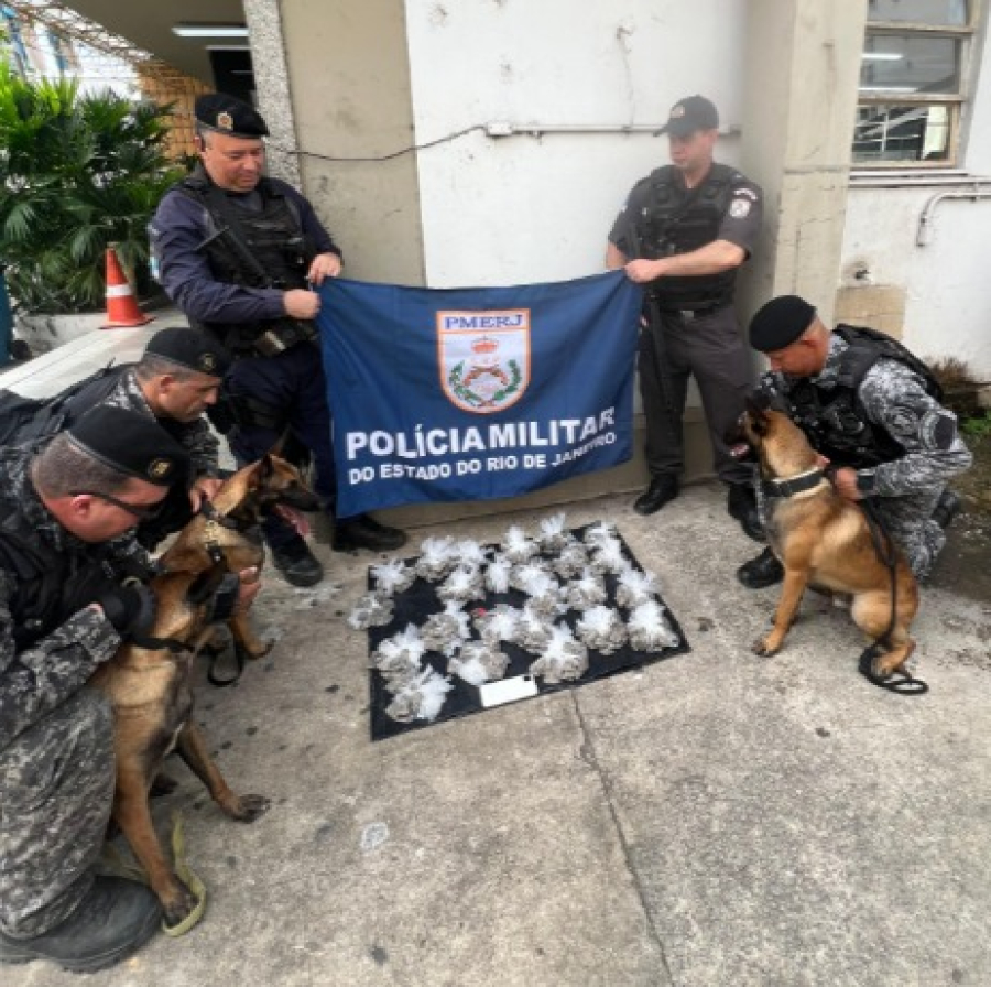 Operação policial apreende mais de 500 buchas de maconha em comunidades de Campos