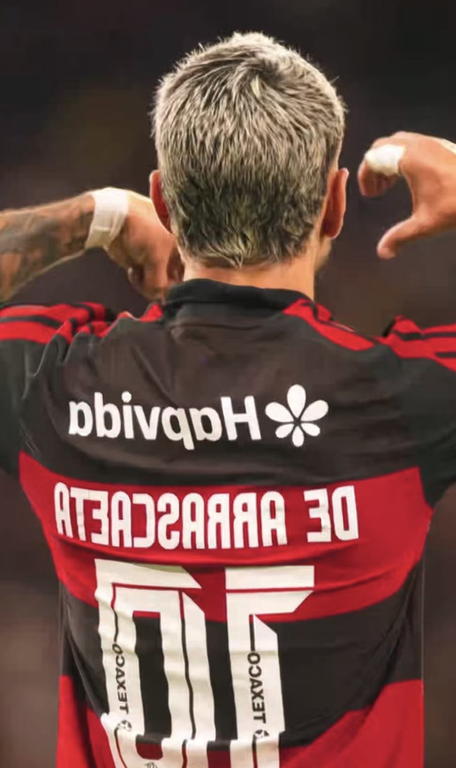 Flamengo empata no Maracanã e avança à semifinal da Libertadores