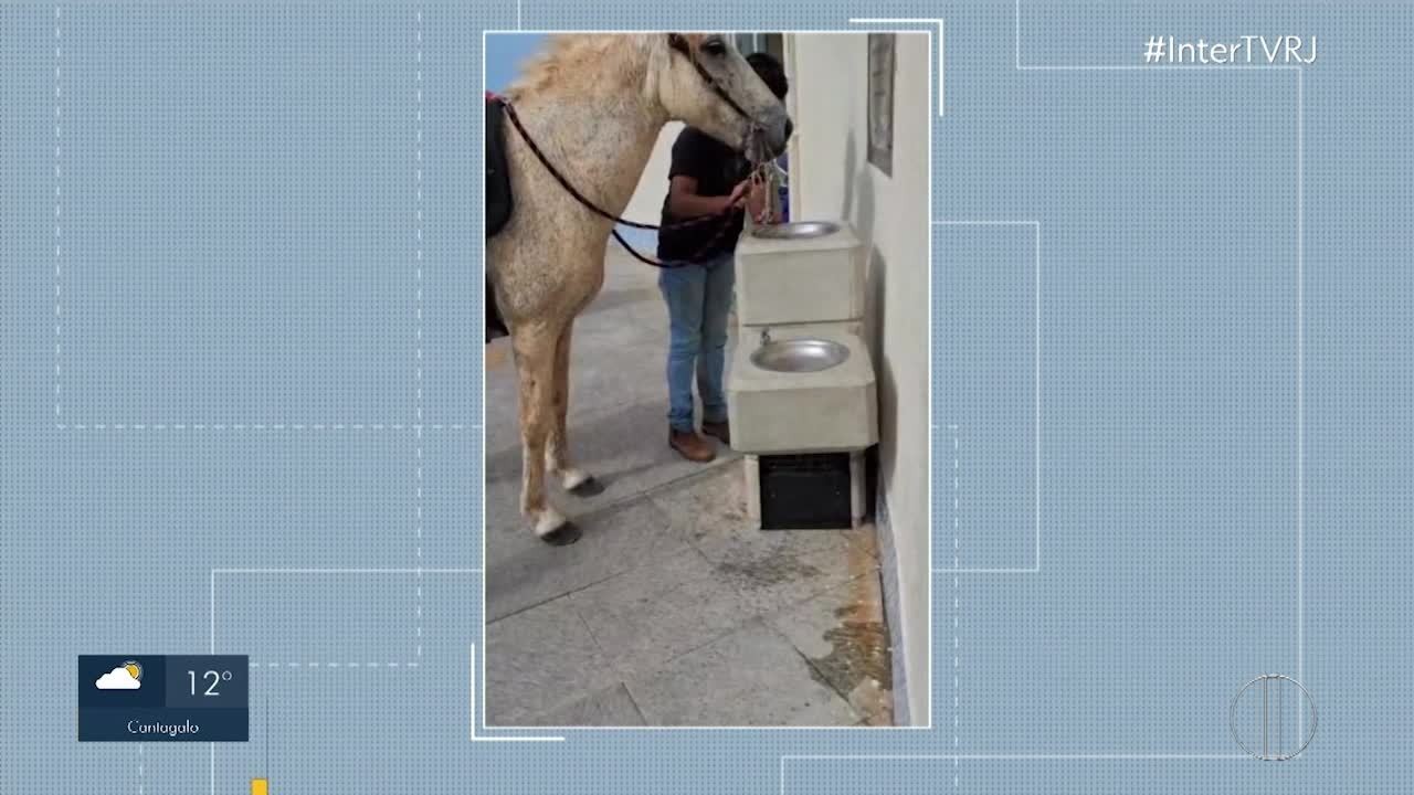 Cavalo é flagrado bebendo água em bebedouro público de Macaé, no RJ
